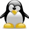 Cómo saber si Google Penguin te golpea